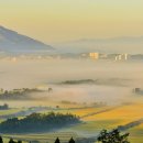 들녁의 하얀집 이미지