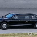 타이어대통령 이미지