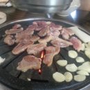 다 오리 이미지