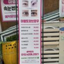 [분당구 속눈썹클리닉]서현 마젤또와 브로우