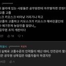 한국에서 참사가 다시 일어날 수밖에 없는 이유 이미지