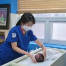 서울적십자병원 이미지