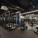 바벨 피트니스 이미지