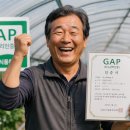 부여중앙버섯영농조합법인 산지유통센터 | GAP 인증 제대로 받는 방법 농산물 신뢰도와 정부지원사업까지 연결되는 핵심 전략