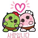 STX 칸 공인중개사사무소 이미지
