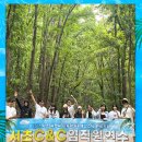 서초씨앤씨미술학원