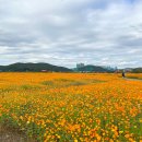 기흥호수공원 이미지