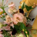 윌치과병원 이미지