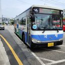 (주)감만버스 이미지