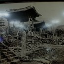 용화사 티스토리