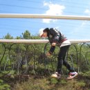 (주)그린랜드 이미지