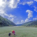 맹개마을 이미지