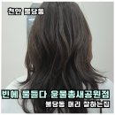 불당지구3(물총새공원) | 쪽머리만 하던 육아맘, 천안미용실 빈에 물들다 윤 1:1 책임 시술 빌드 펌 후기