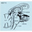 뇌간출혈마비 멀티치유사례 이미지