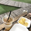 마루네 애견사랑 이미지