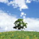 남선산업 이미지