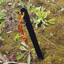 마운틴메탈 이미지