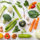 서현숲 가정의학과의원 이미지