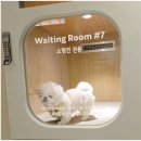 꽃댕이 멍집사 | [구리갈매] 스타벅스 DT ☕ 애견동반 2층 전용공간, 퍼푸치노까지 완벽한 곳