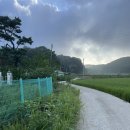 SK종합상사 | 발안천 오십 리 분향만 남양만 간척지