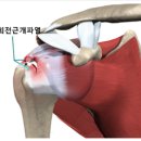 핏&메디필라테스 - 제주시 월랑로 35 | 핏&메디필라테스
