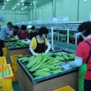 내면농협 제2농산물산지유통센터 이미지