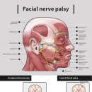 송파365한의원 이미지