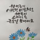 나무 이름 초성 퀴즈 이미지