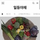 신선한야채