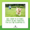 해봄동물병원 이미지