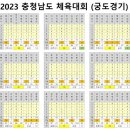 2023년 충남도민체육대회 결과 이미지