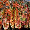 순동농장 이미지