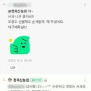 “자연ㅇ림보다 더 맛있어요!” 직접 먹어본 분들이 인정한 청옥산 농원 사과 후기 모음 2탄