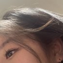 거인태권도 | 초록ㅗ물결이ㅗ톡톡ㅗ튀는ㅗ젊음처럼ㅗ