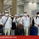 베트남 2월10일자 시행령(해외 불법체류시 벌금) 이미지