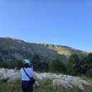 스위스장 | 🚅⛰ 체르마트 → 로마 이동기