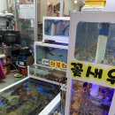 정아수산 이미지