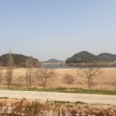 영산포가는길