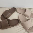 포레스타 이미지