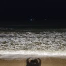 루메드 풀빌라 이미지