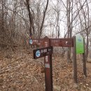 차돌배기로1 이미지