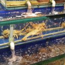 시거리식당 이미지