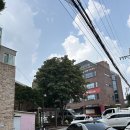 안덕시장 이미지