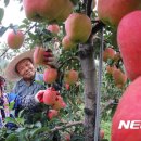 영근농장 이미지