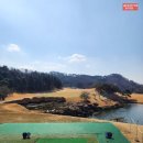 신라오비 이미지