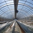 시우네농장 이미지