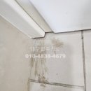 카르페가든 | [대구 이사청소] 수성가든하이츠 2차, 하루 9시간의 정성으로 '신축'보다 더 깨끗하게! 카르페디엠의...