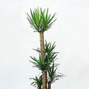 (주)반짝반짝 이미지