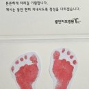 광안자모병원 이미지
