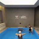 서울일원초등학교 | 강남 1:1 프라이빗 수영장 우성스포츠센터 엔드리스풀 개인 강습 후기